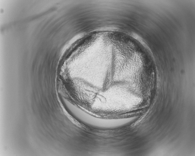 X0000054411237200508262248
