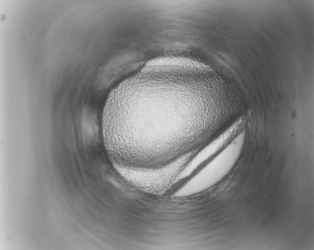 X0000054411252200508262248