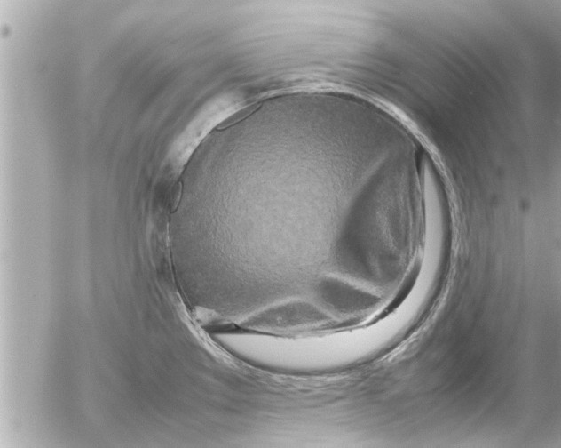 X0000054411289200508262247