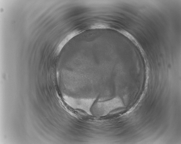 X0000054411337200508262247