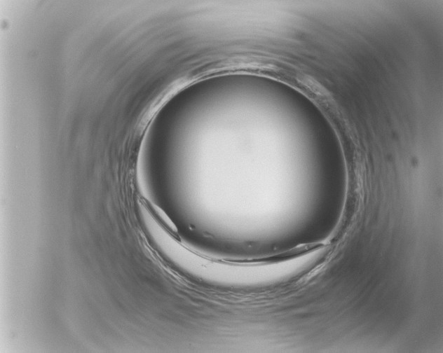 X0000054411369200508262246