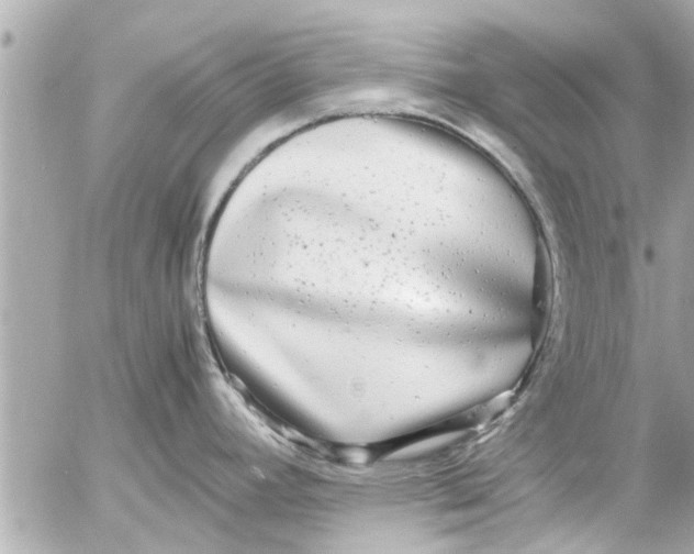 X0000054411392200508262245