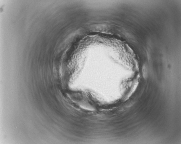 X0000054411395200508262245
