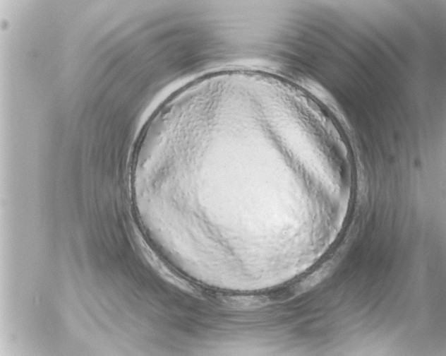 X0000054411436200508262245