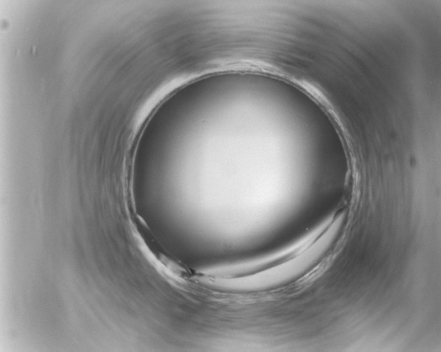 X0000054411438200508262245