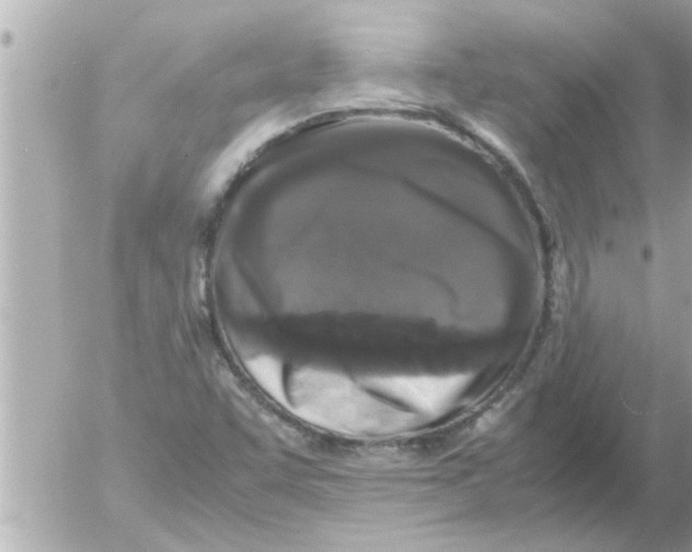 X0000054411455200508262244