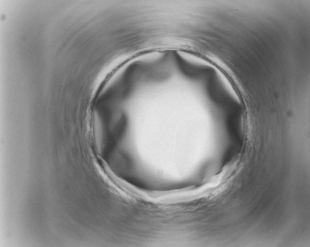 X0000054411477200508262244