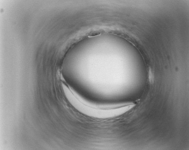 X0000054411492200508262243