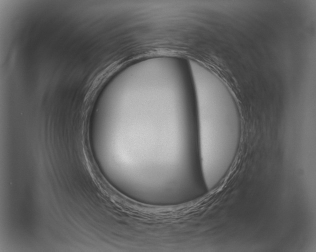 X0000054420001200507290938