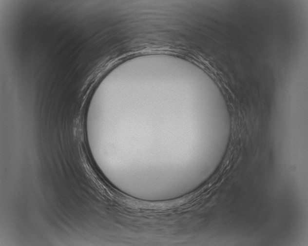 X0000054420002200507290938