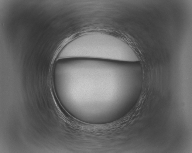 X0000054420003200507290938