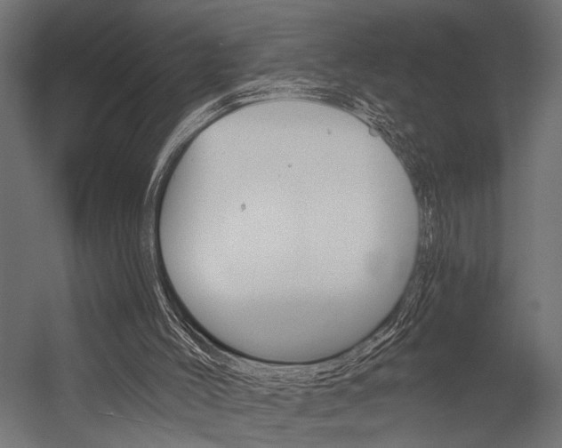 X0000054420004200507290938