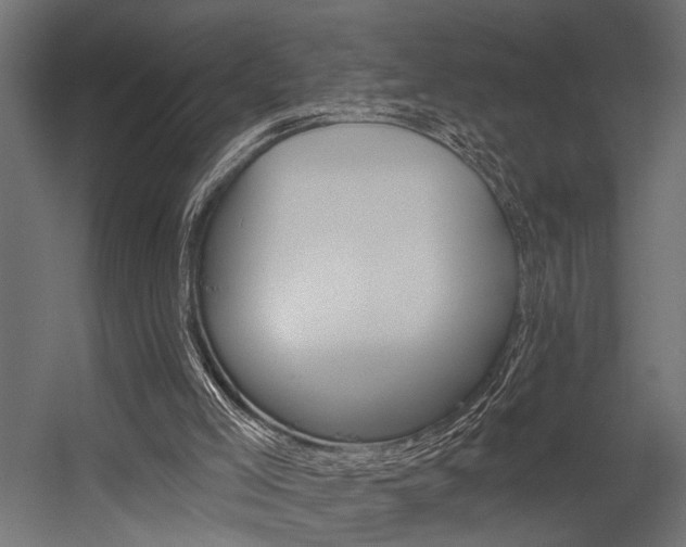 X0000054420005200507290938