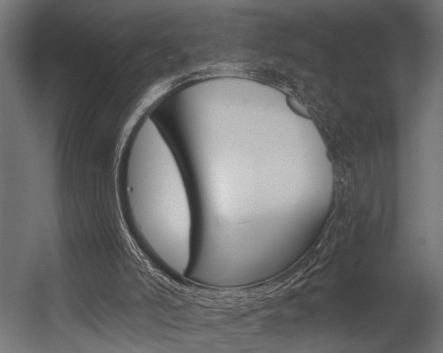 X0000054420006200507290938