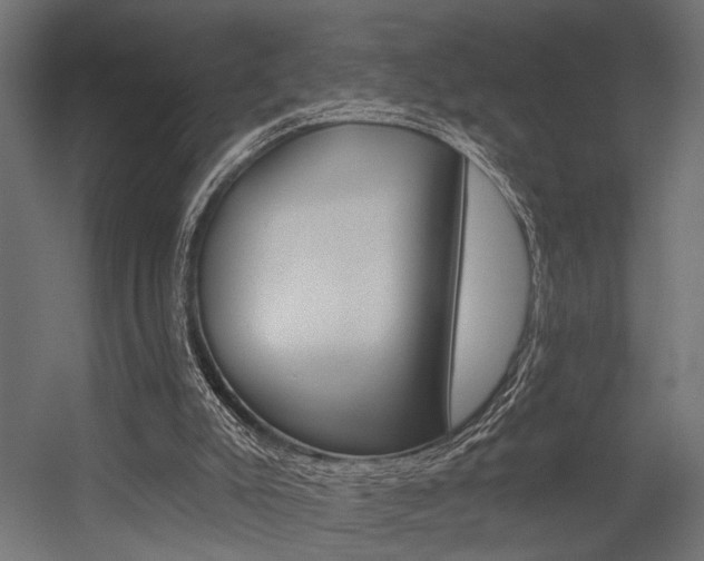 X0000054420007200507290938