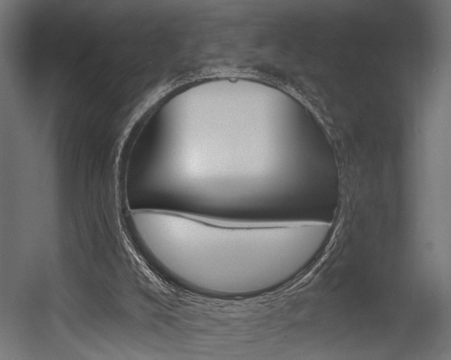 X0000054420008200507290938