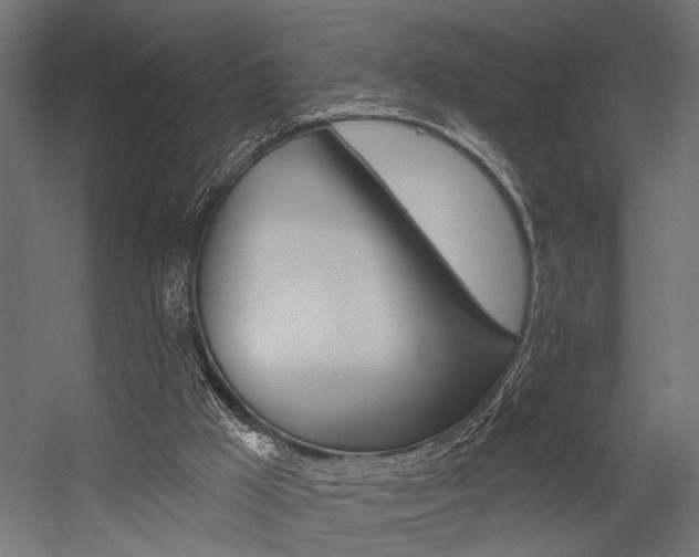 X0000054420009200507290938