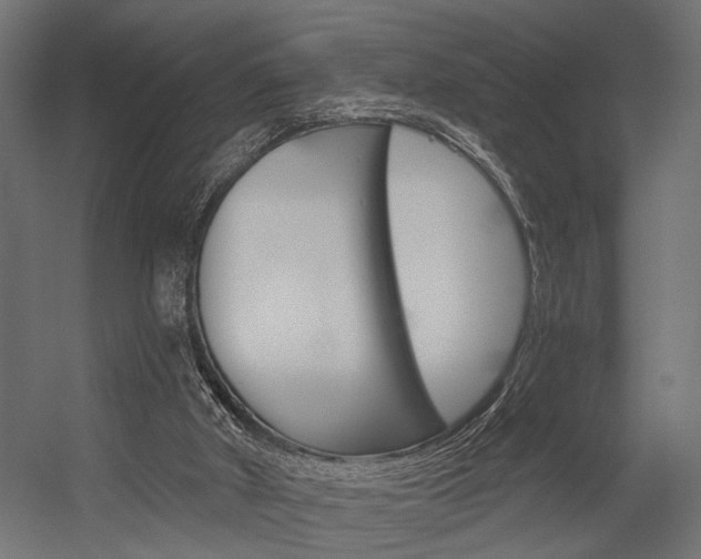 X0000054420010200507290938