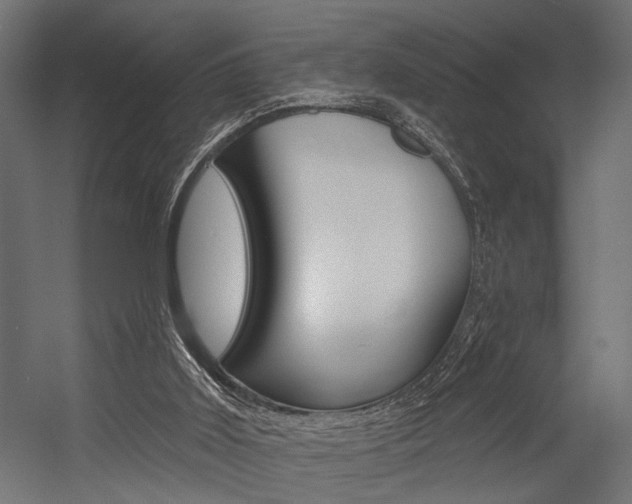 X0000054420011200507290938