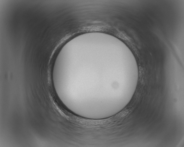 X0000054420012200507290938