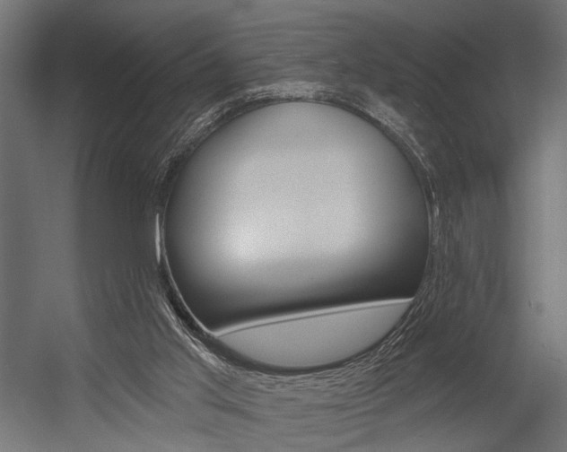 X0000054420013200507290938