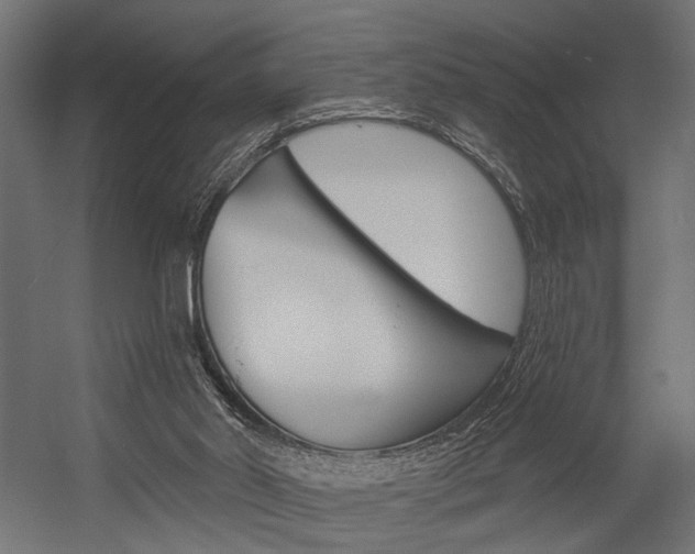 X0000054420014200507290938