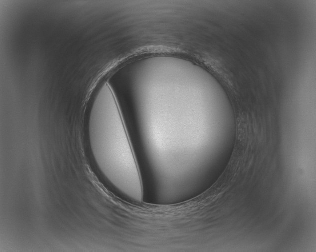 X0000054420015200507290938