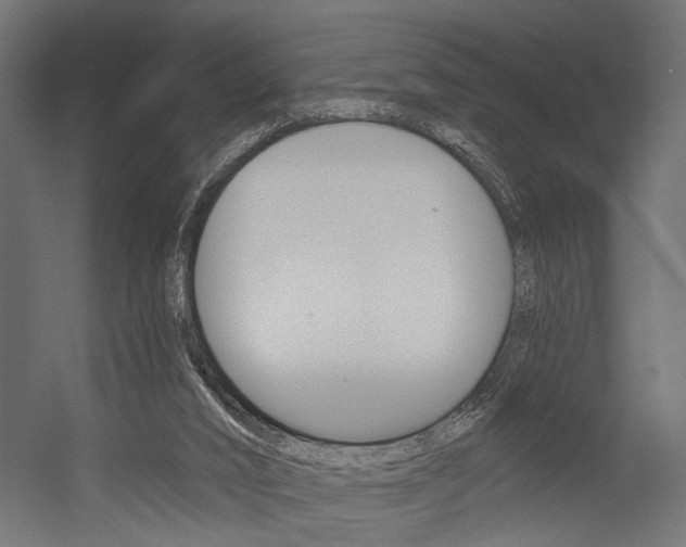 X0000054420016200507290938