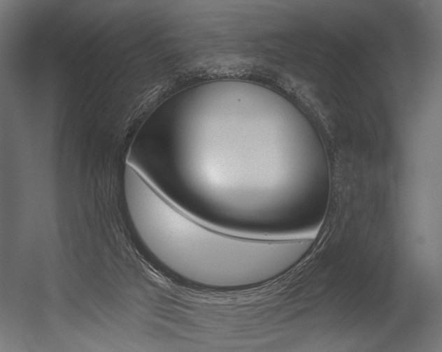 X0000054420017200507290938