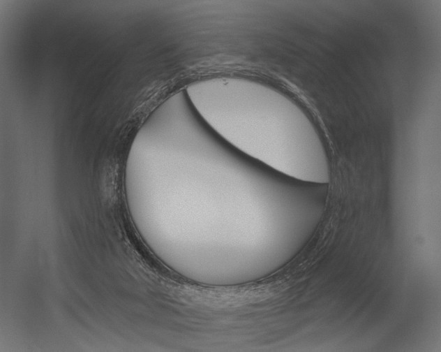 X0000054420018200507290938