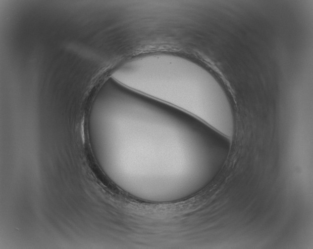 X0000054420019200507290938