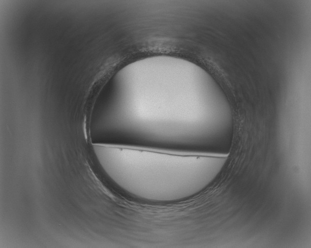 X0000054420020200507290938