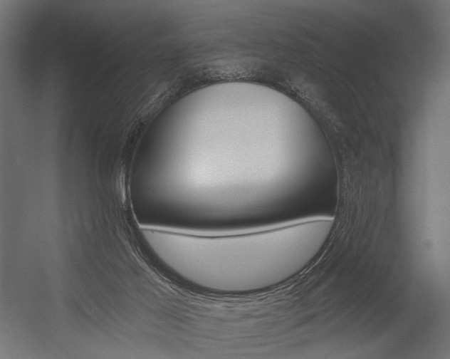 X0000054420021200507290938