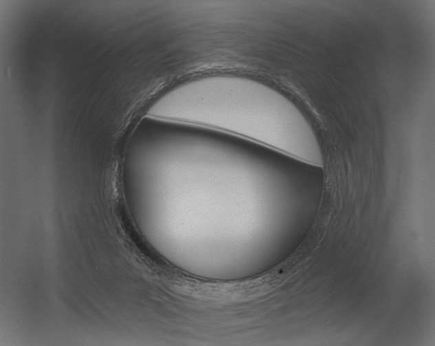 X0000054420023200507290938