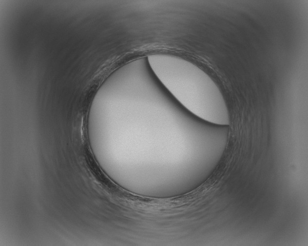 X0000054420024200507290937