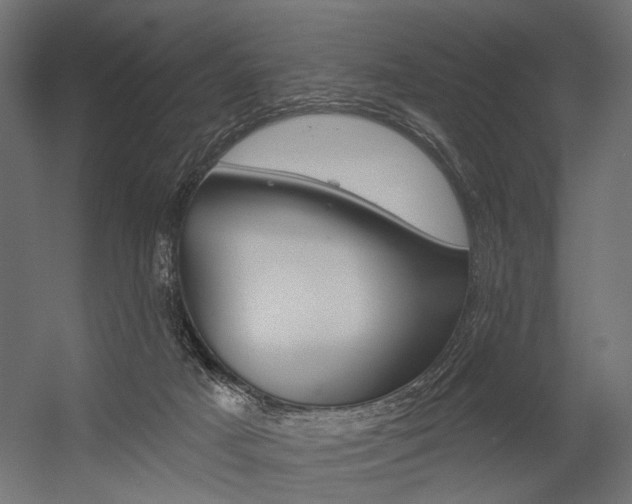 X0000054420025200507290937