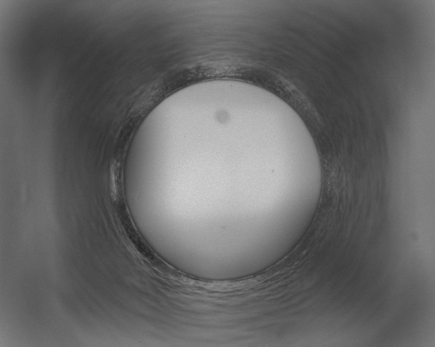 X0000054420026200507290937