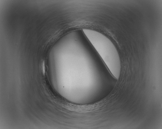 X0000054420027200507290937