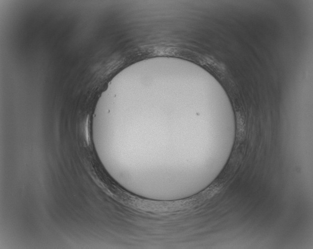 X0000054420028200507290937