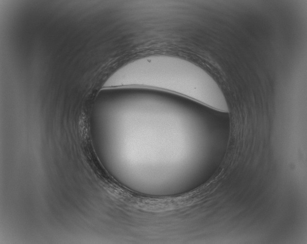 X0000054420029200507290937