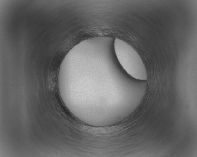 X0000054420030200507290937