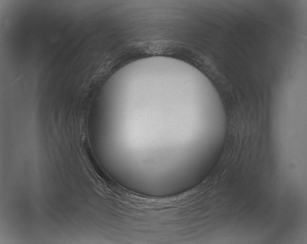 X0000054420031200507290937