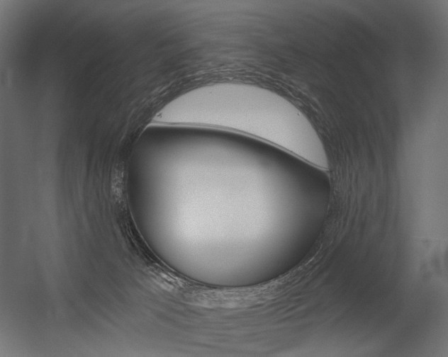 X0000054420033200507290937