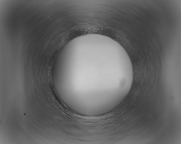 X0000054420034200507290937