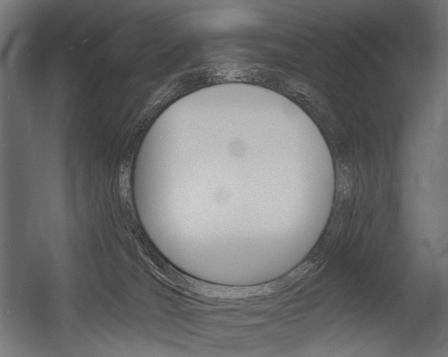 X0000054420036200507290937