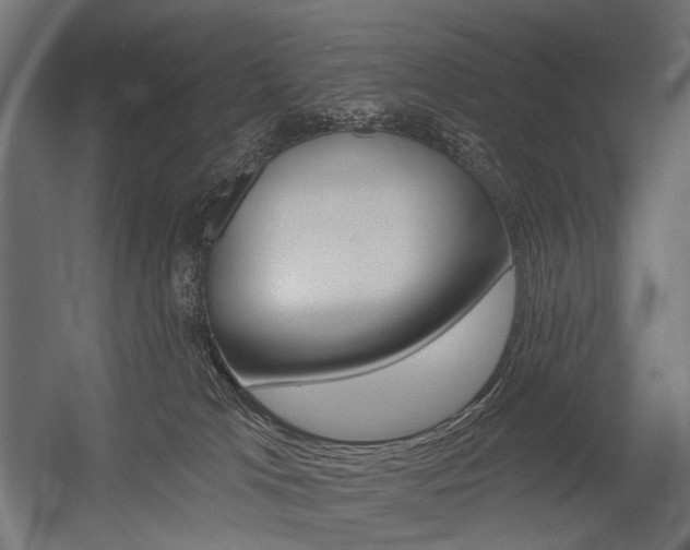 X0000054420037200507290937