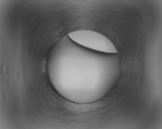 X0000054420038200507290937