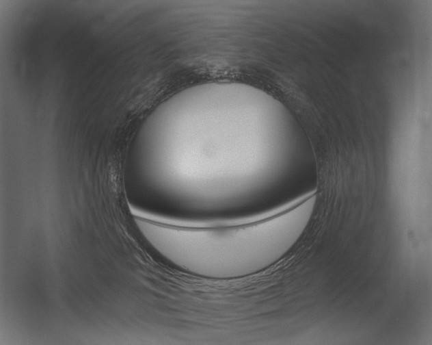 X0000054420039200507290937