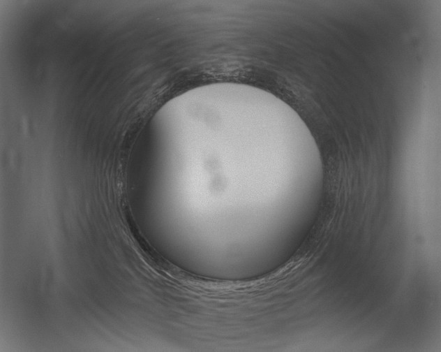 X0000054420040200507290937