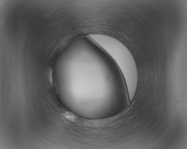 X0000054420041200507290937